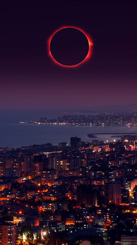 ⭐ ПРОГНОЗ НА НЕДЕЛЮ С 23.12.2024 ПО 29.12.2024 ⭐ Контакты floransia@yandex.ru