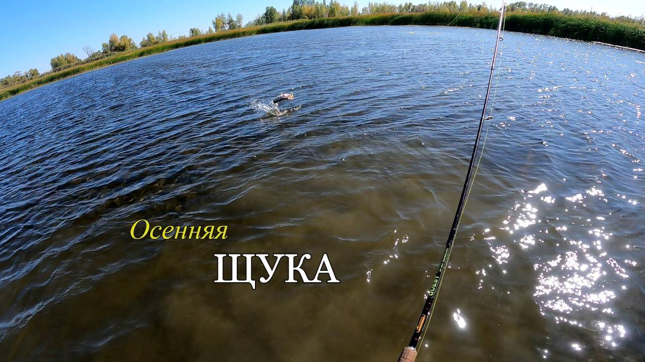 Осенняя рыбалка на щуку. Ловлю щуку на мелких озерах.