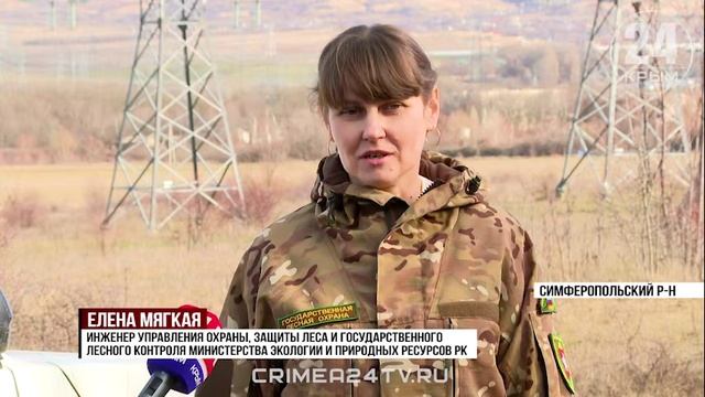 Спасение южного побережья: крымские волонтёры помогают убирать мазут в Краснодарском крае