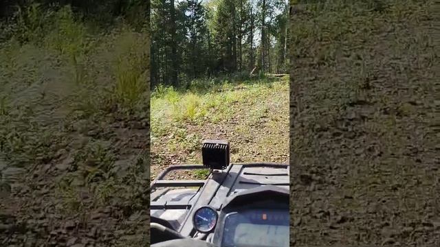 1000012404.mp4