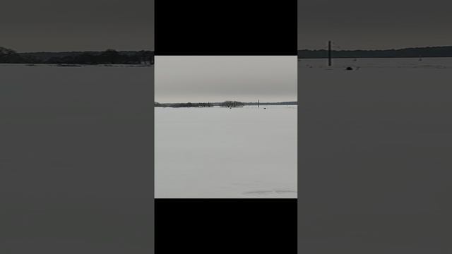 23-12-2024 Чудо Прудик