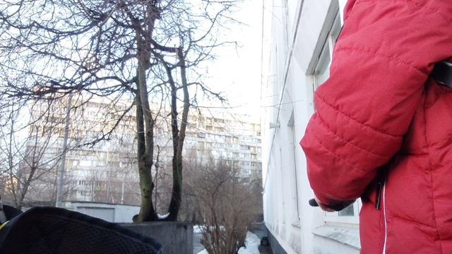 орбибол игра 2/1