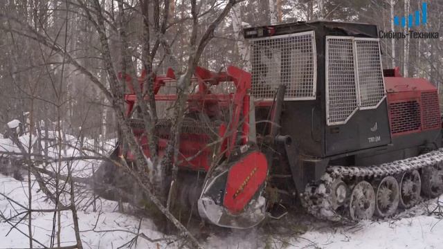 Расчистка просеки от древесной растительности  вдоль железнодорожных путей зимой