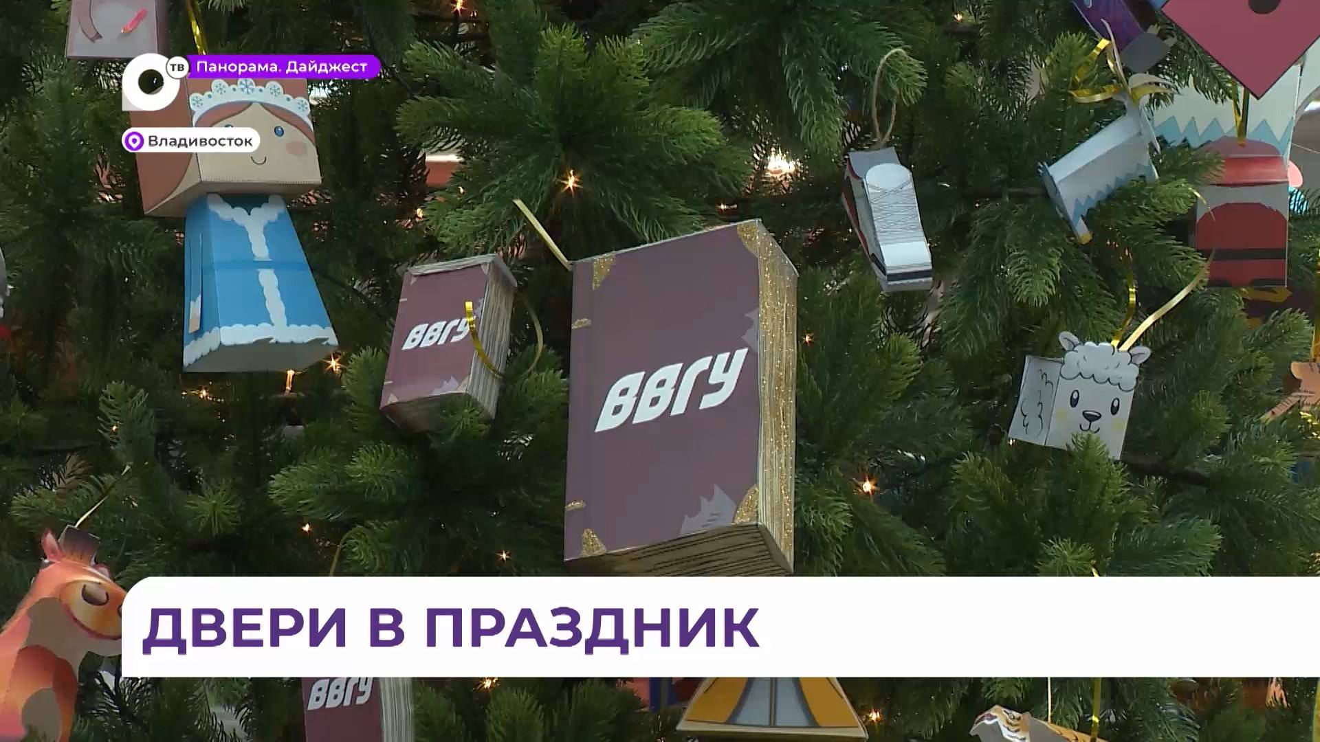 Дед Мороз приглашает будущих абитуриентов поступать во Владивостокский государственный университет