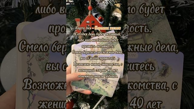 КАРТА ДНЯ 24.12.2024