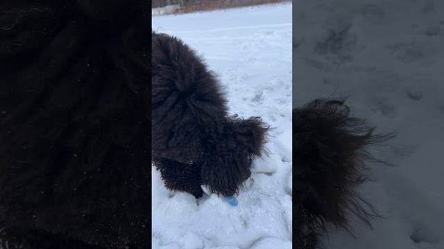 здравствуйте)))