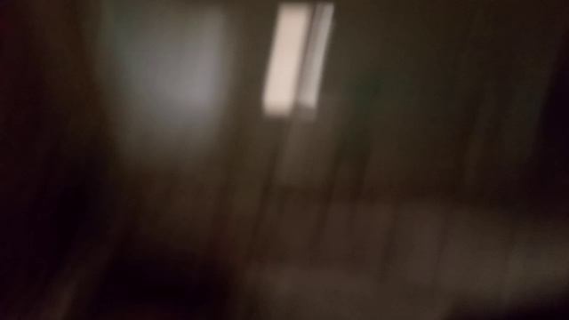 л