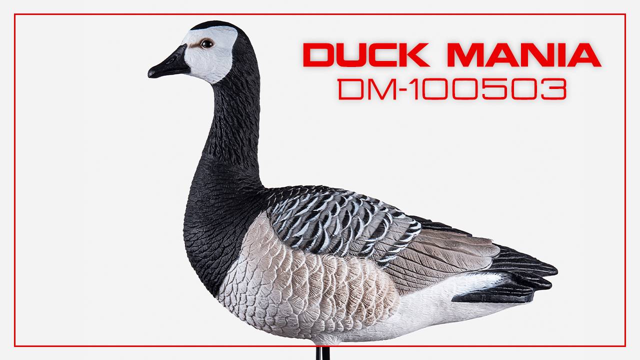 Белощекая казарка Duck Mania "ELITE"