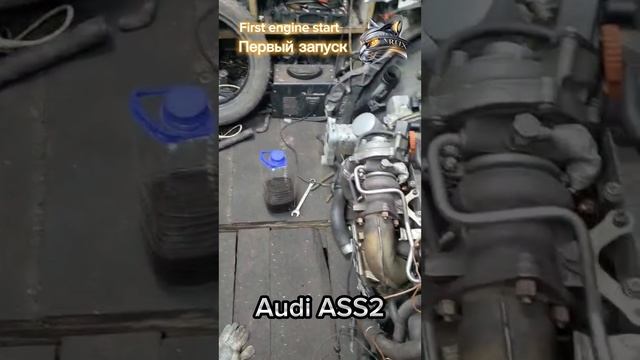 Первый запуск Swap проекта Audi ASS2