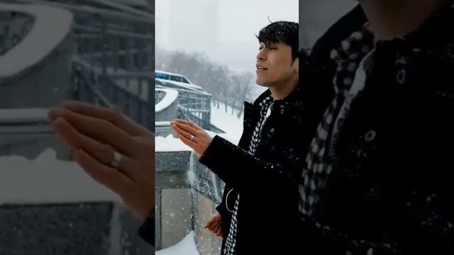 моя звезда #shorts #моязвезда #звезда #топ