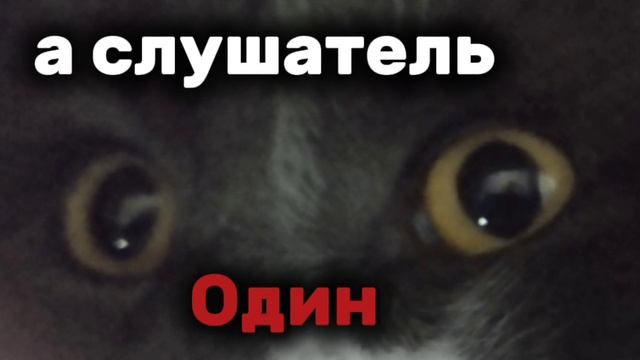 а слушатель один...😻