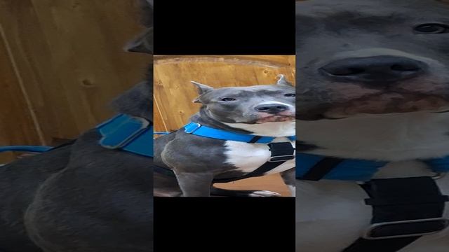 1000097036.mp4