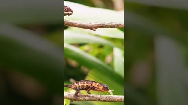 video_2024-07-16_19-19-20