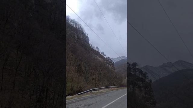 ОТЗЫВ Кавказ: 3 республики: Ингушетия, Осетия, Чечня МФК "Золотой орёл"