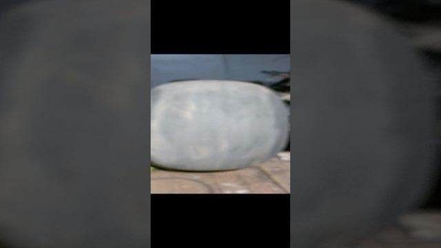 1000012745.mp4