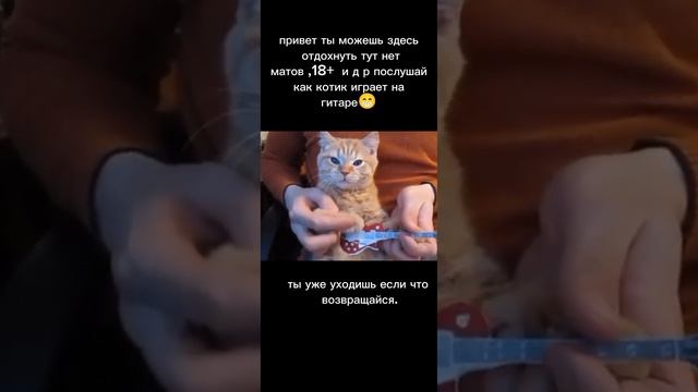Наслаждайтесь#shorts