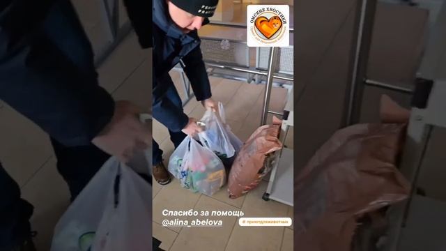 Добрая миссия оргкомитета "Летов.Омск" | Приют глазами посетителей