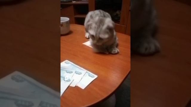 9 декабря 2024 г. (1).mp4