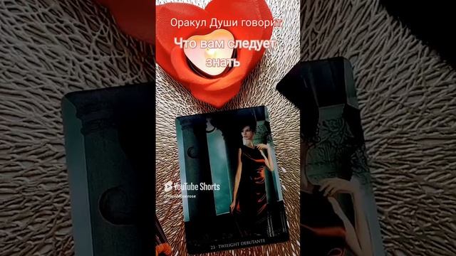 Оракулгговорит #чтоследуетзнать #оракул #гадание #совет #подсказка #вселенная #shorts