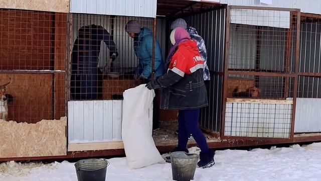 Поездка в Фонд помощи бездомным животным Путь домой