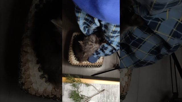 Ассистент фотографа - залог хорошего фото.mp4