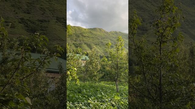 copy_9C26C1D8-D037-45C5-BA47-2645D44746FF