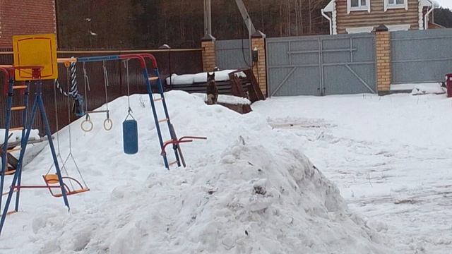 двор