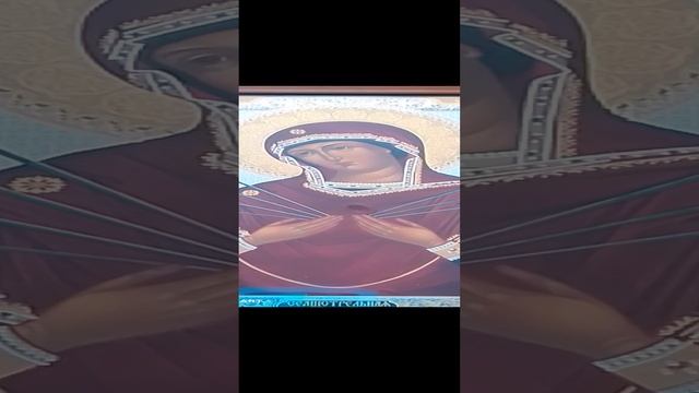 VID_20241223_130635.mp4