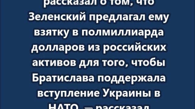 Зеленский предлагал взятку премьеру Словакии за вступление Киева в НАТО