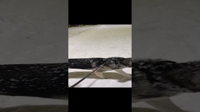 Вечер .mp4