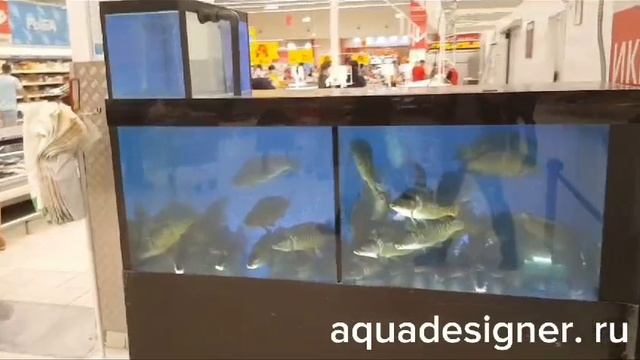 Аквариума  с рачницей для магазина АШАН-ХИМКИ