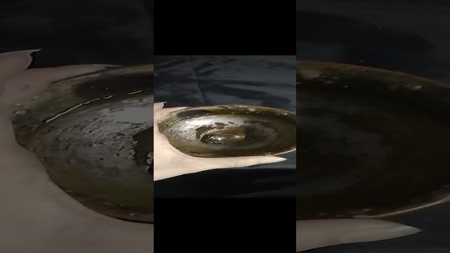 раскрытие ясновидение через кольцо