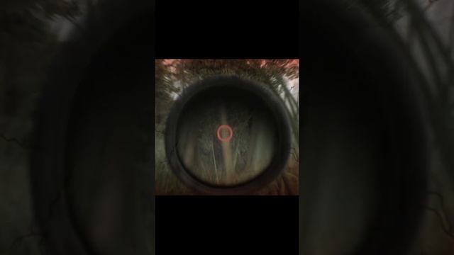 Терминатор в Escape from Tarkov