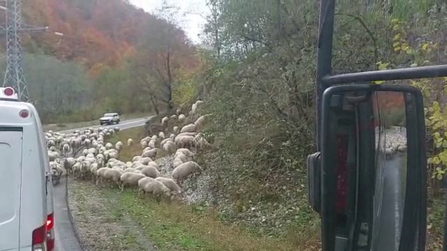 отзыв МФК "Золотой орёл" Кавказ: 3 республики: Ингушетия, Осетия, Чечня