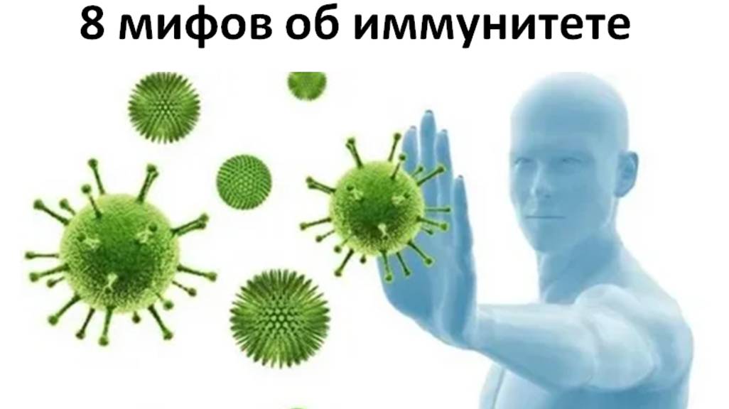 8 мифов об иммунитете