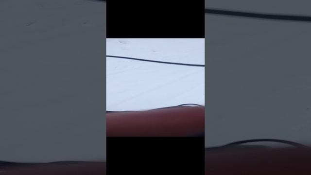 1000023117.mp4
