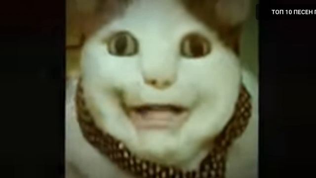 😺🎵🎶4