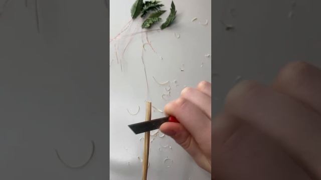 Делаем пальму