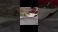 Не греет отопление…
