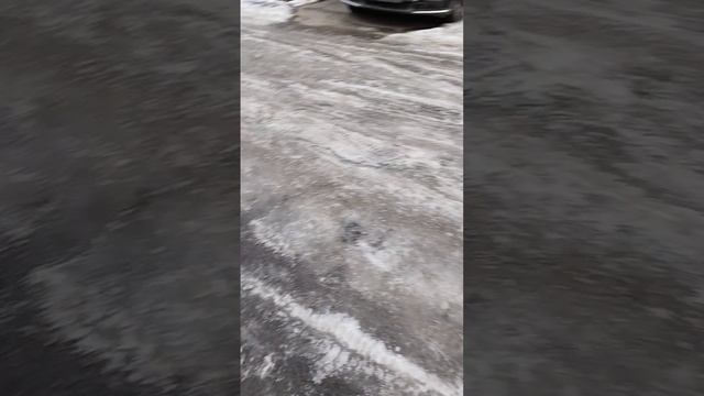 scene_output.mp4
