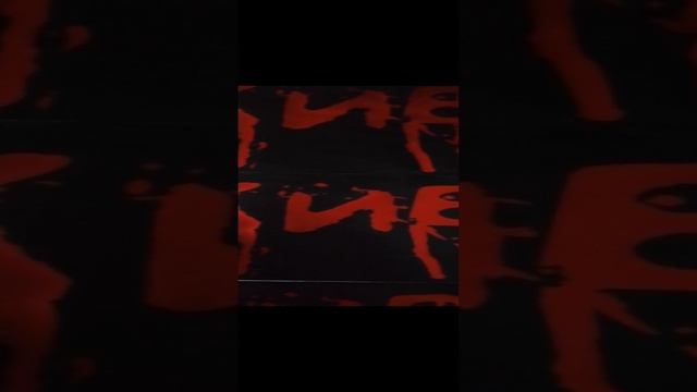 VID_20241221_110907.mp4