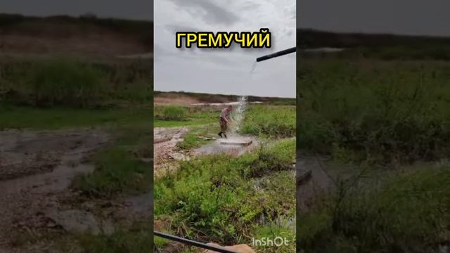 Гремучий