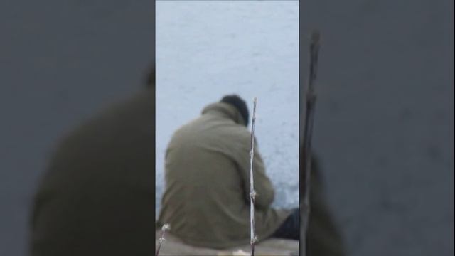 Бесстрашный рыбачок