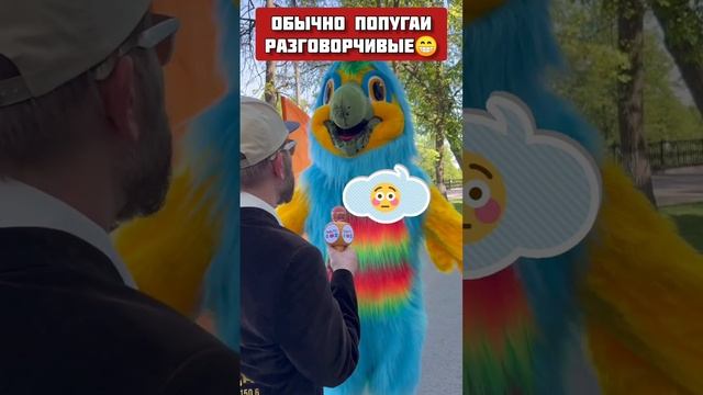 интервью с молчаливый попугаем