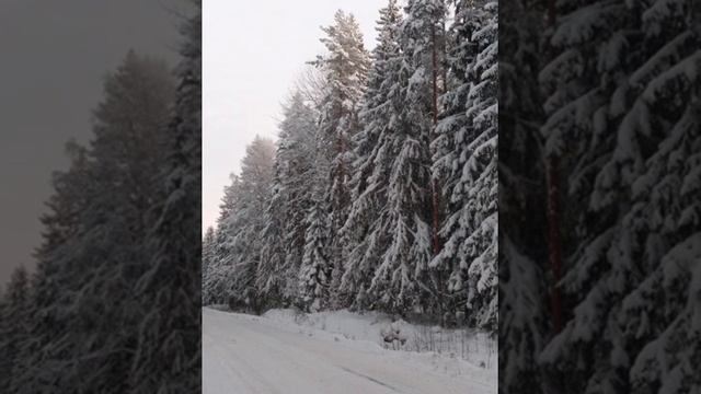 №64 Гармонизация и балансировка структур дряблых мышц и кожи