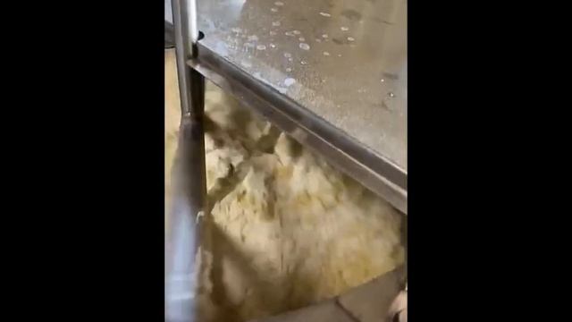 Котёл (тестомес) для заварного теста на 160 л.