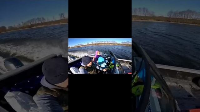 🔥Выгуливаем 60 японских коней🔥