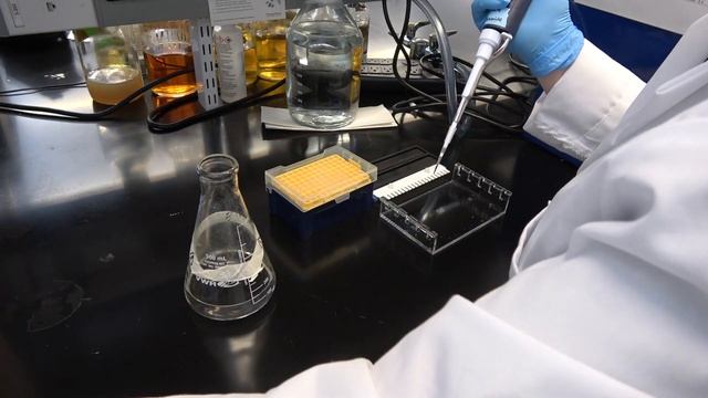 Agarose Gel Electrophoresis Tip #2: Adding Ethidium Bromide