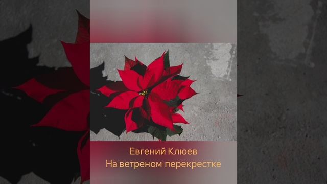 Евгений Клюев "Рождественская звезда"