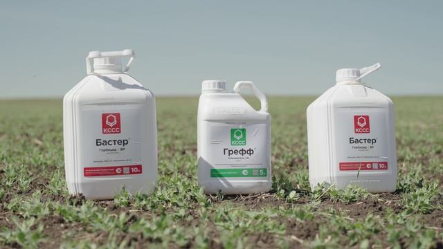 Защита посевов гороха препаратом Бастер